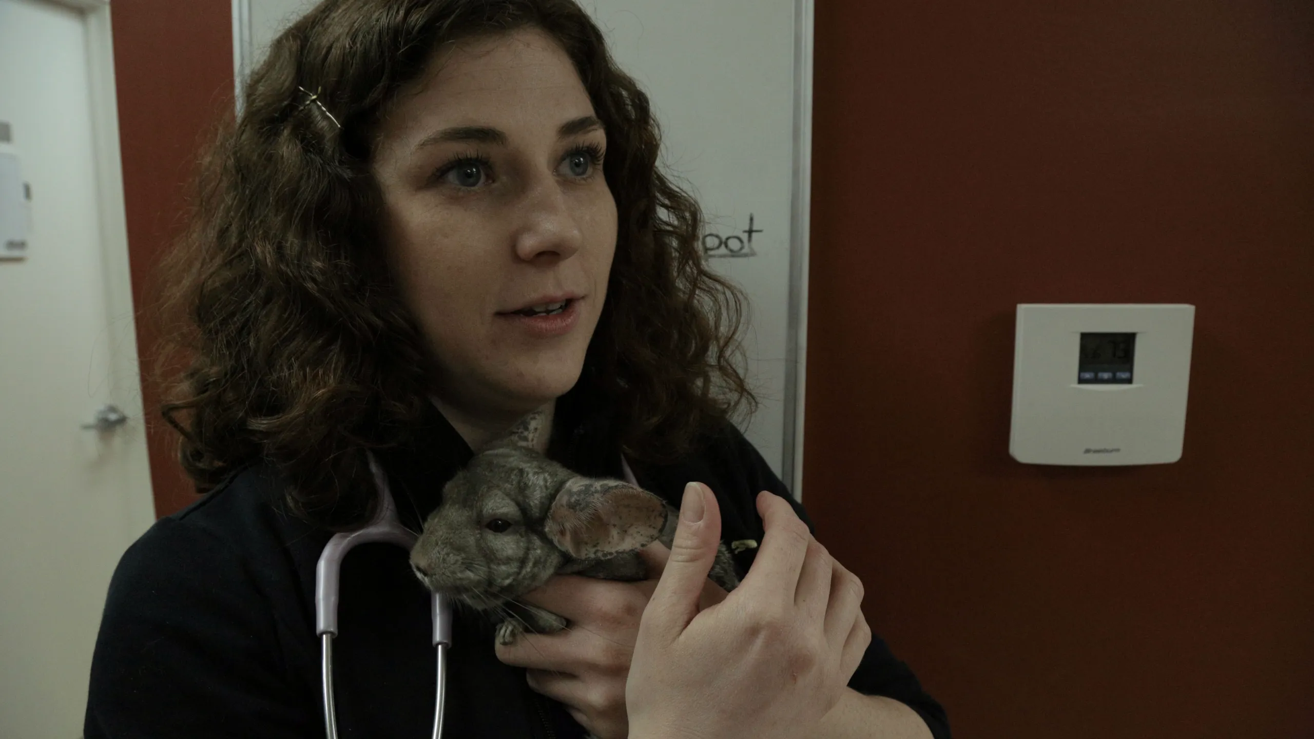 thumbnail - S2:E2 Chinchillin' Like a Villain