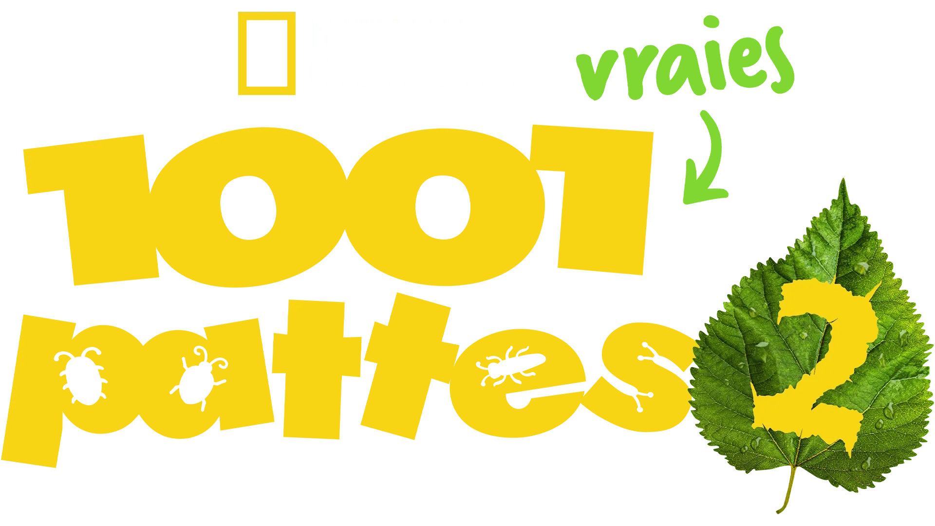 1001 vraies pattes