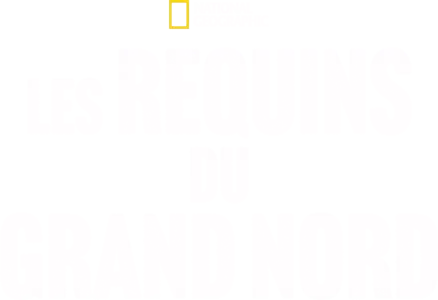 Les requins du Grand Nord