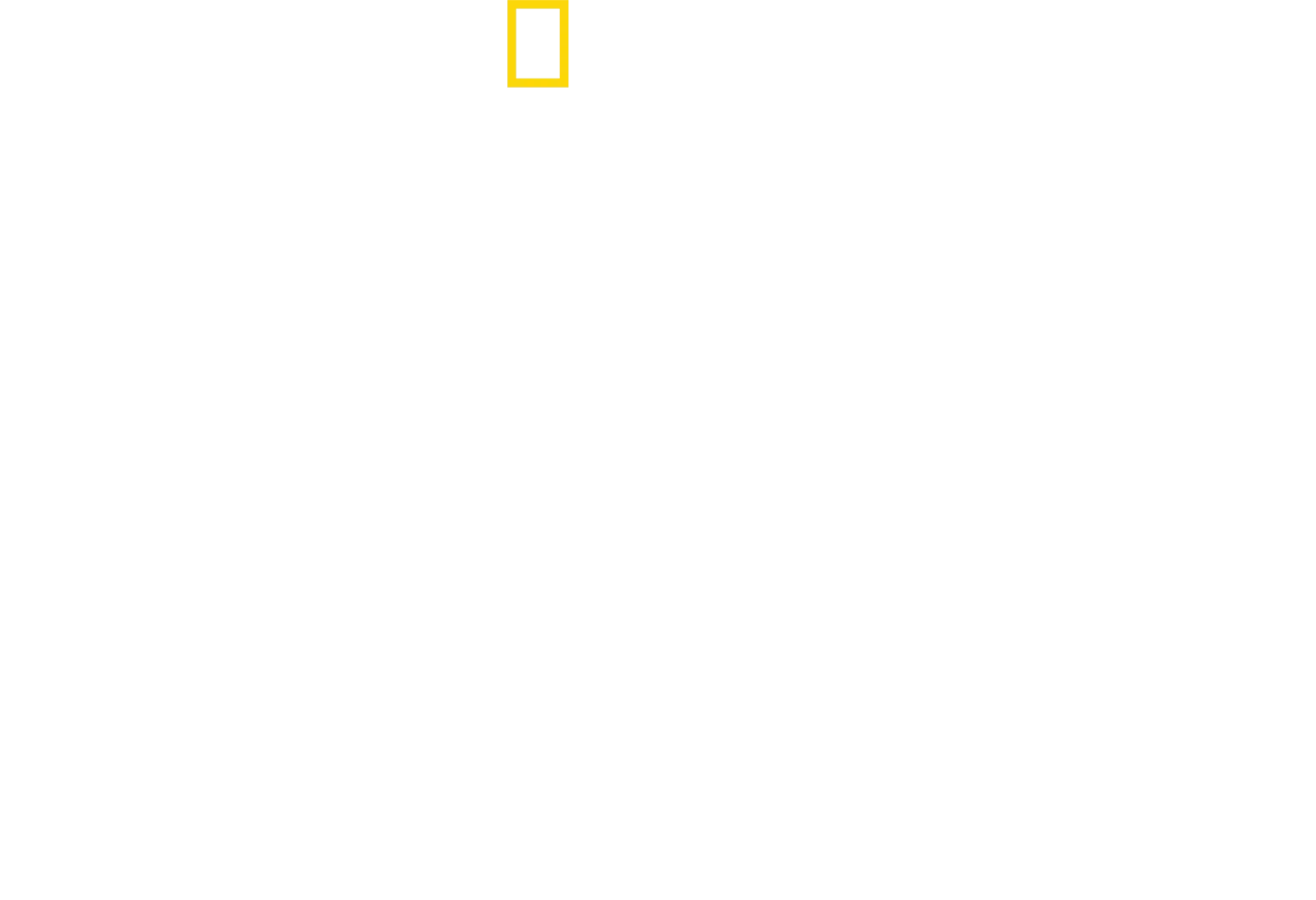 Les requins du Grand Nord