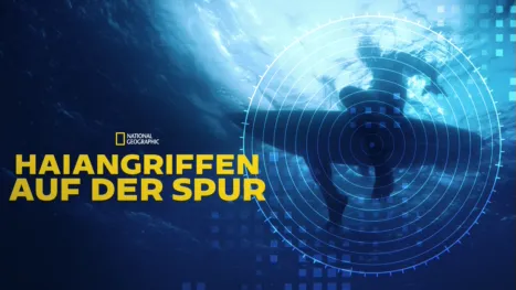 thumbnail - Haiangriffen auf der Spur