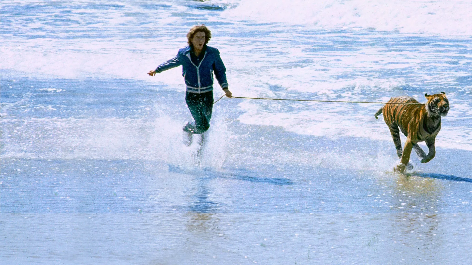 Sultán y la estrella de rock