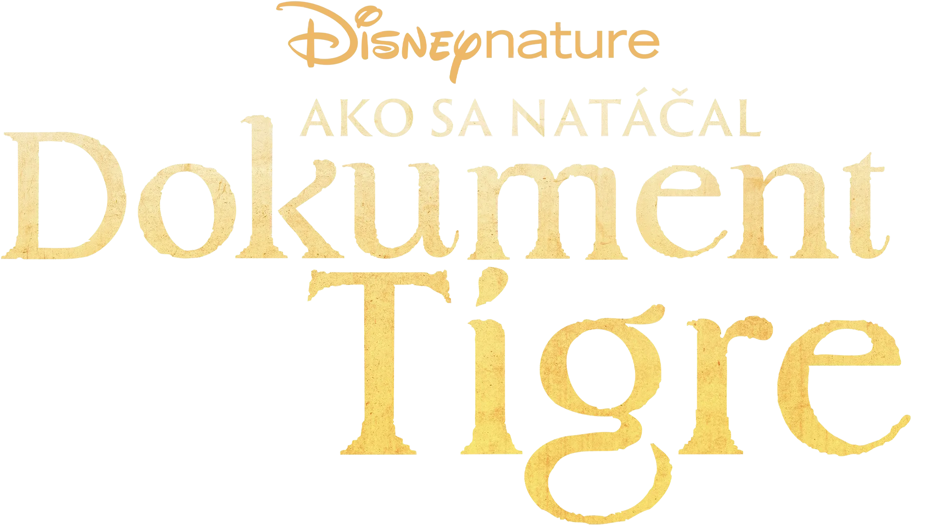 Ako sa natáčal dokument Tigre