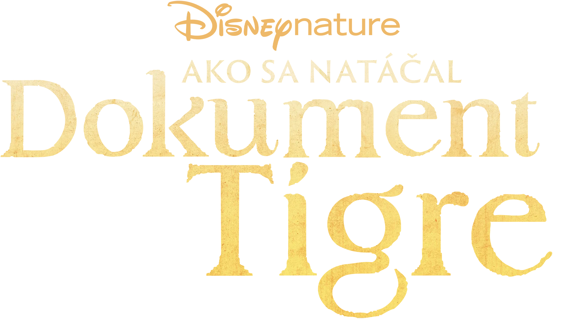 Ako sa natáčal dokument Tigre