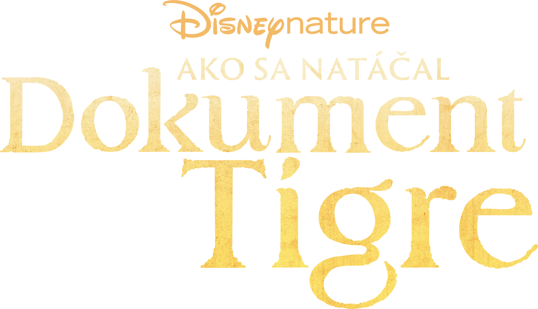 Ako sa natáčal dokument Tigre