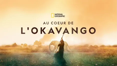 thumbnail - Au coeur de l'Okavango