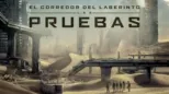 thumbnail - El corredor del laberinto: Las pruebas