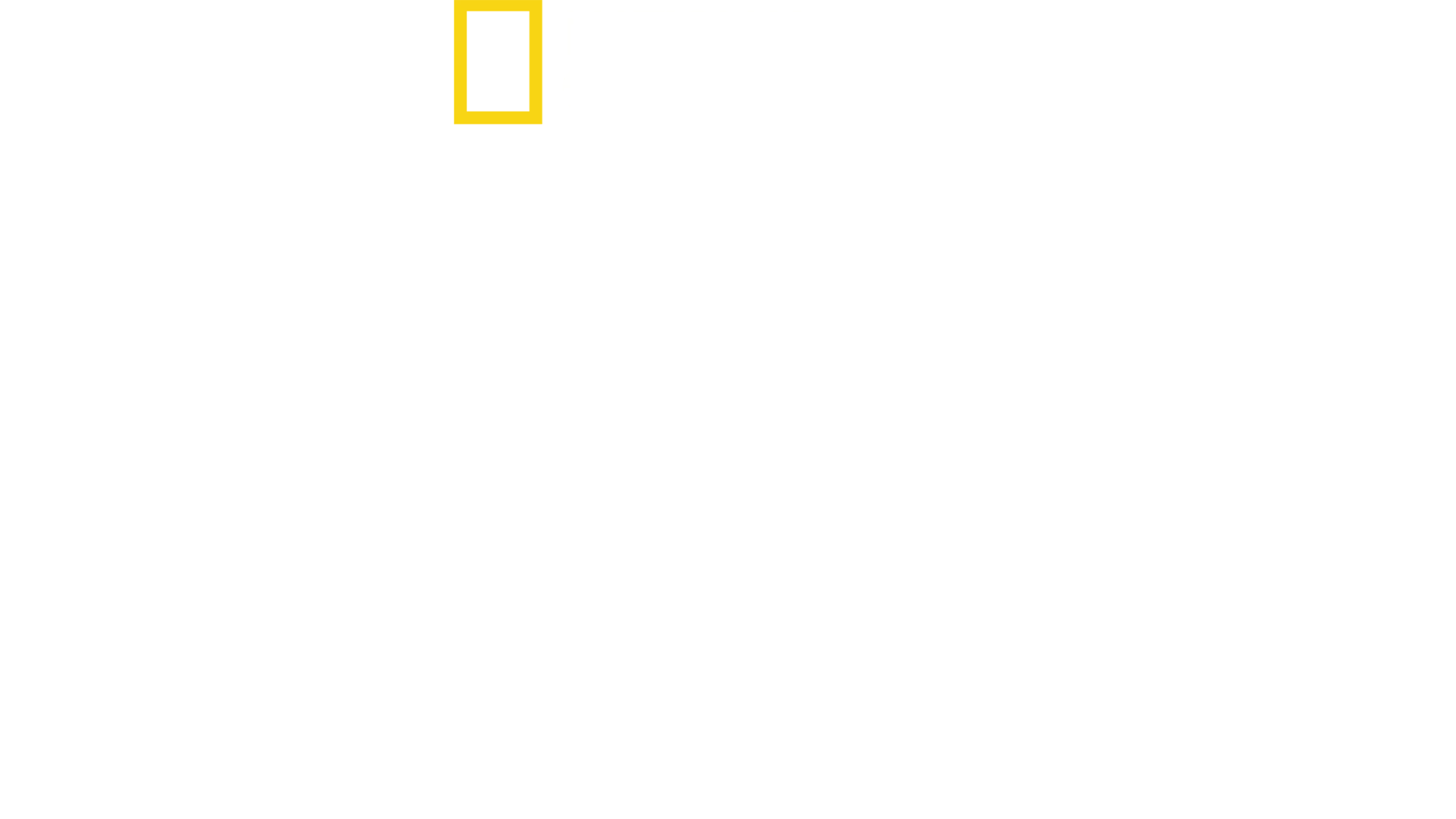 I cani della prateria