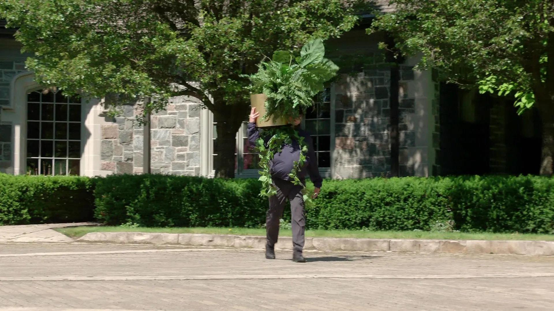 thumbnail - S1:E3 It's A Plant Guy!