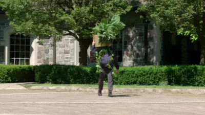 thumbnail - S1:E3 It's A Plant Guy!