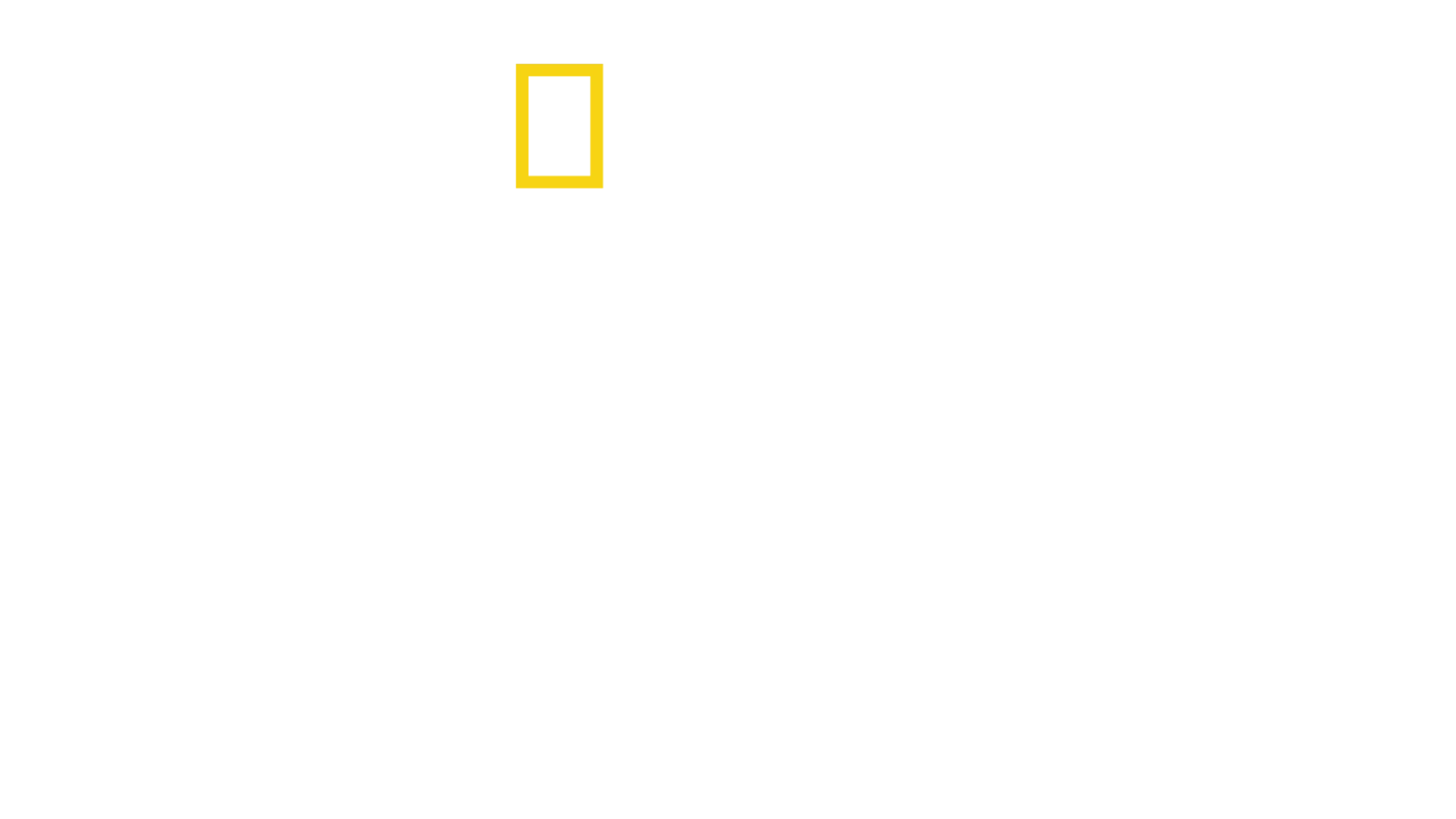 Divoká Argentina