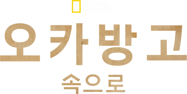 오카방고 속으로
