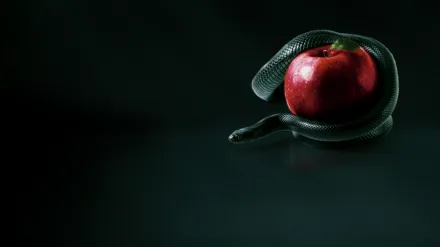 Bible Secrets Revealed