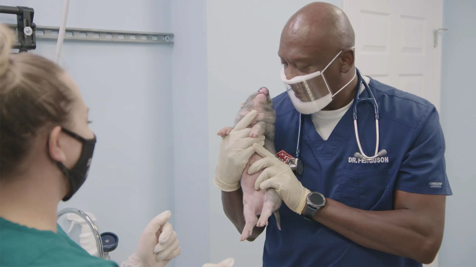 thumbnail - S4:E12 Mighty Piglets