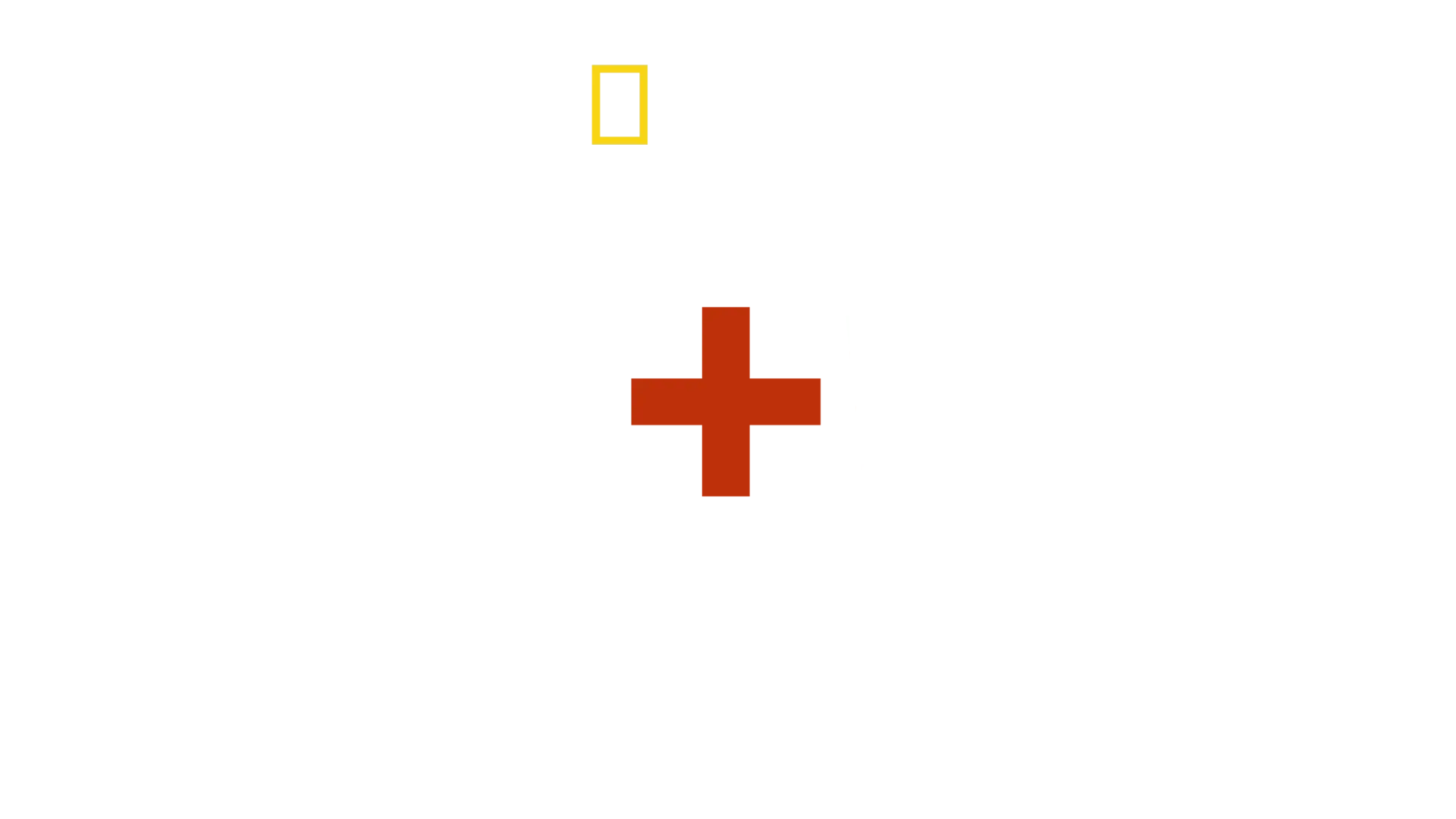 LOVE+WAR 写真家リンジーの戦場