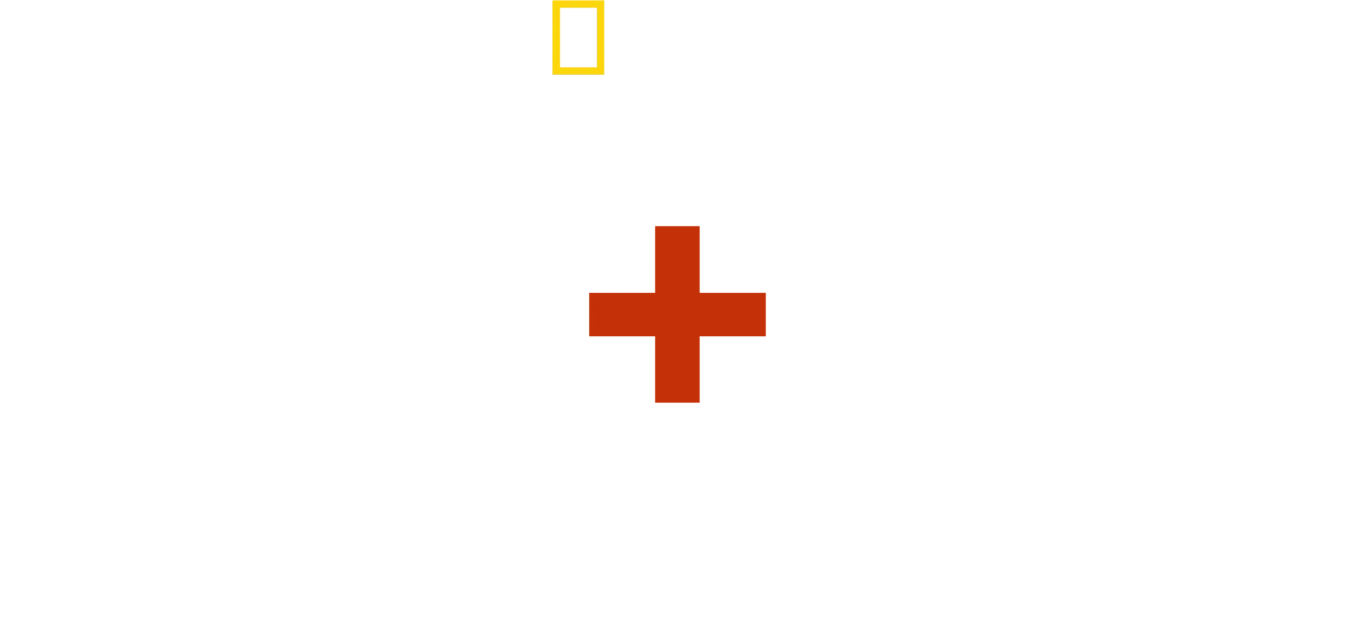 LOVE+WAR 写真家リンジーの戦場