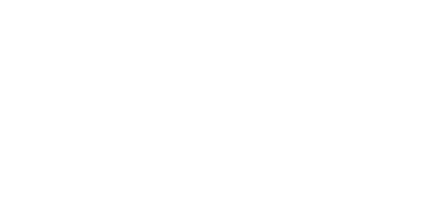 終極警探：跨國救援