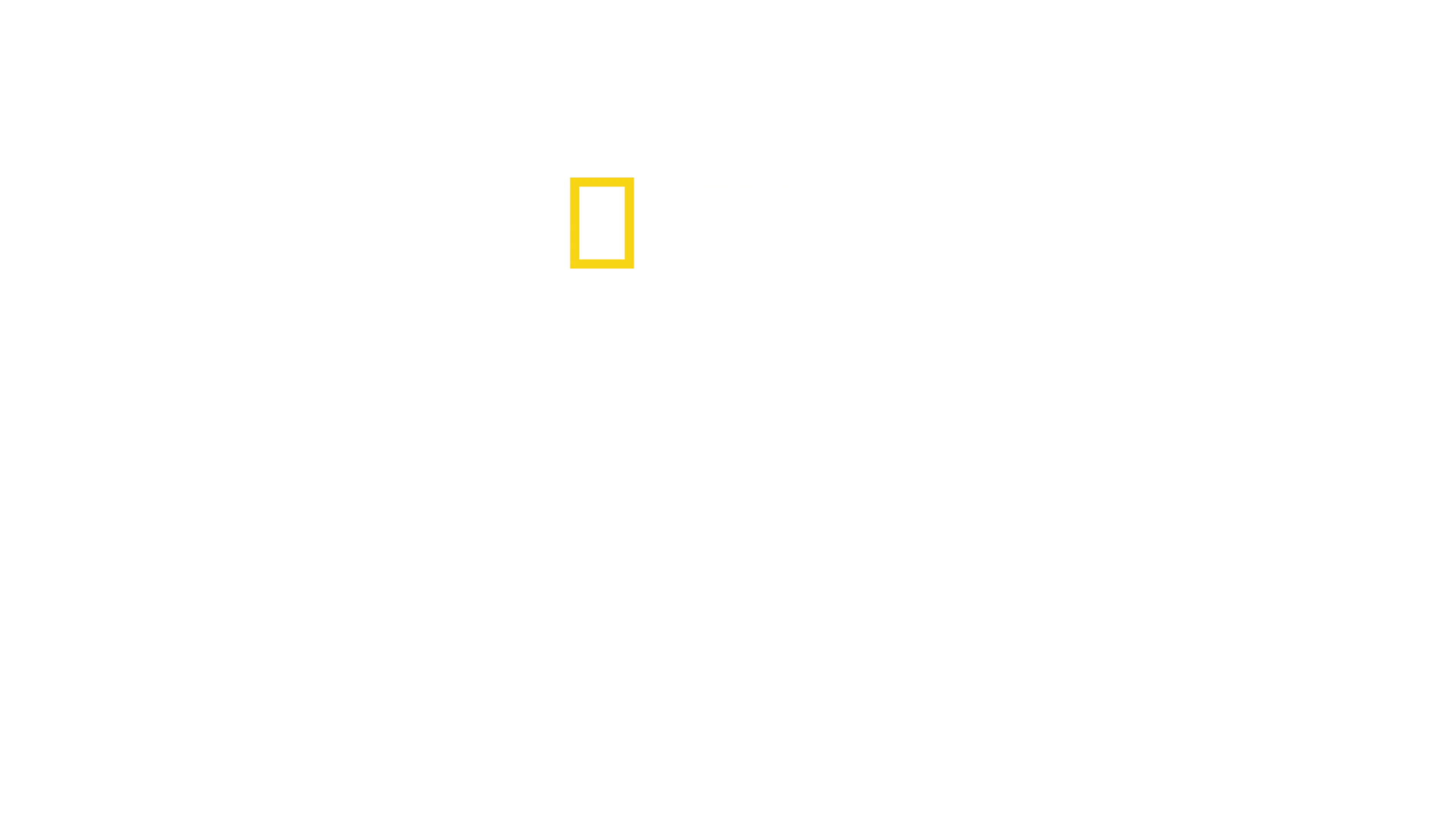 Królestwo drapieżników