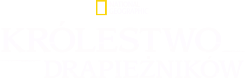 Królestwo drapieżników
