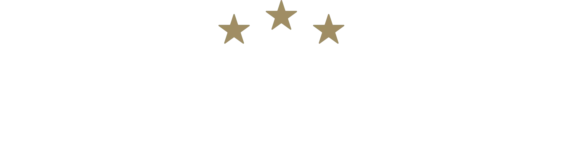 Campeões, a grande final