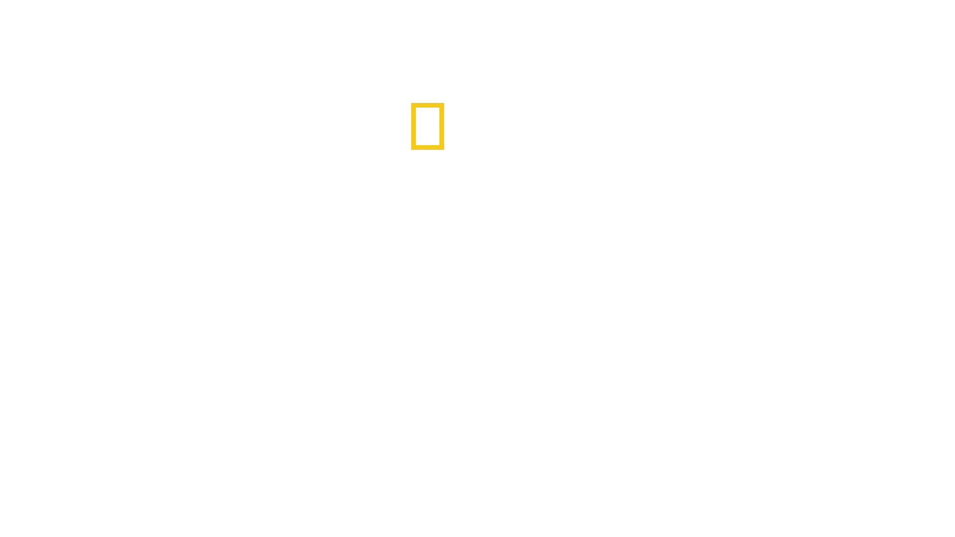 Son Bakış