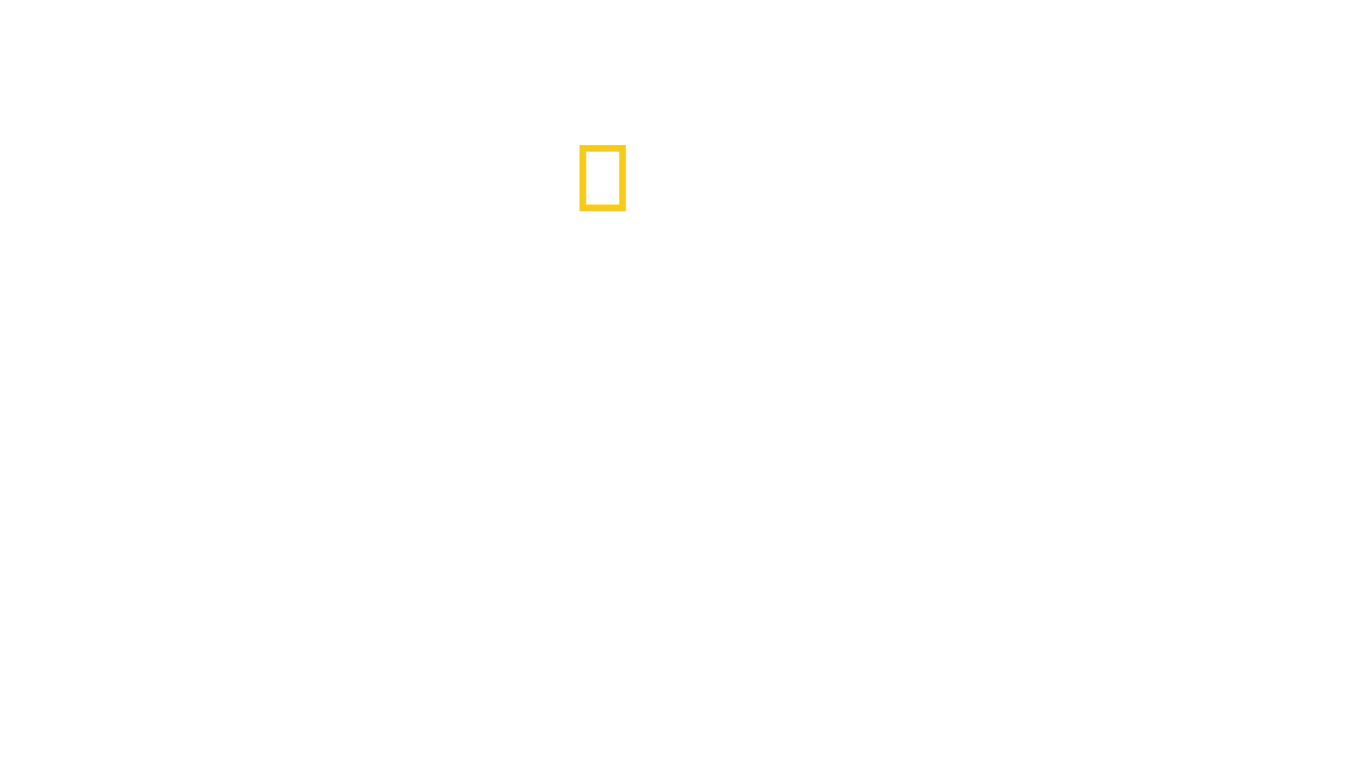 Son Bakış