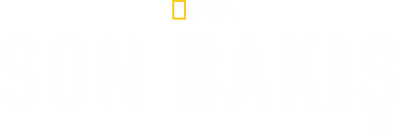 Son Bakış