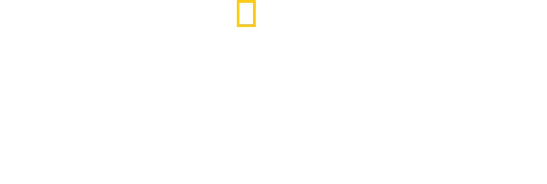 Son Bakış
