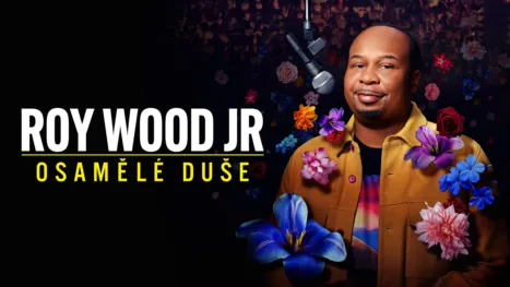 thumbnail - Roy Wood Jr.: Osamělé duše