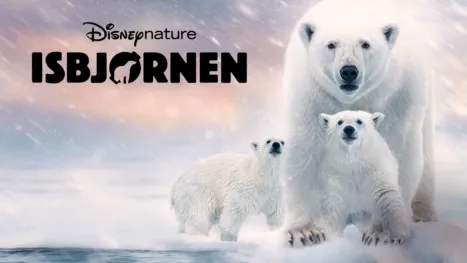 thumbnail - Isbjørnen