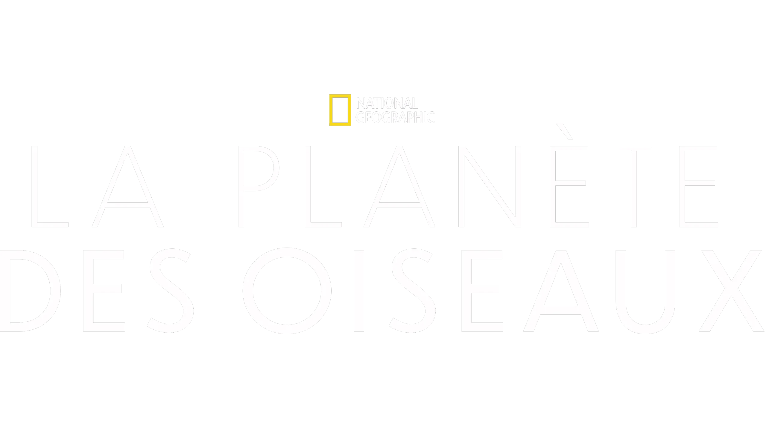 La planète des oiseaux