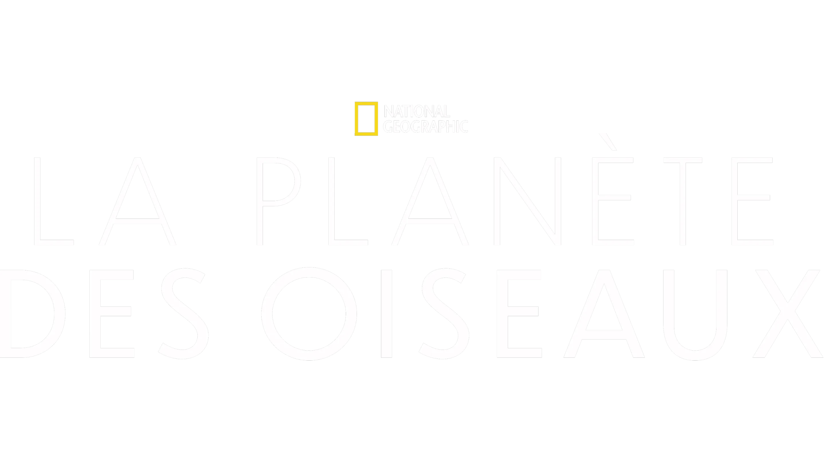La planète des oiseaux