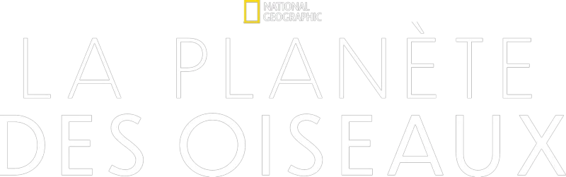 La planète des oiseaux