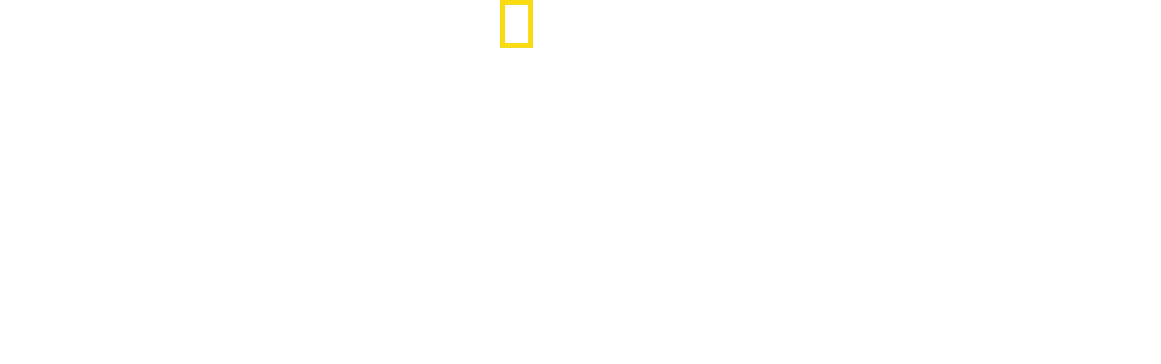 La planète des oiseaux