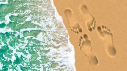 Married at First Sight: Honeymoon Island