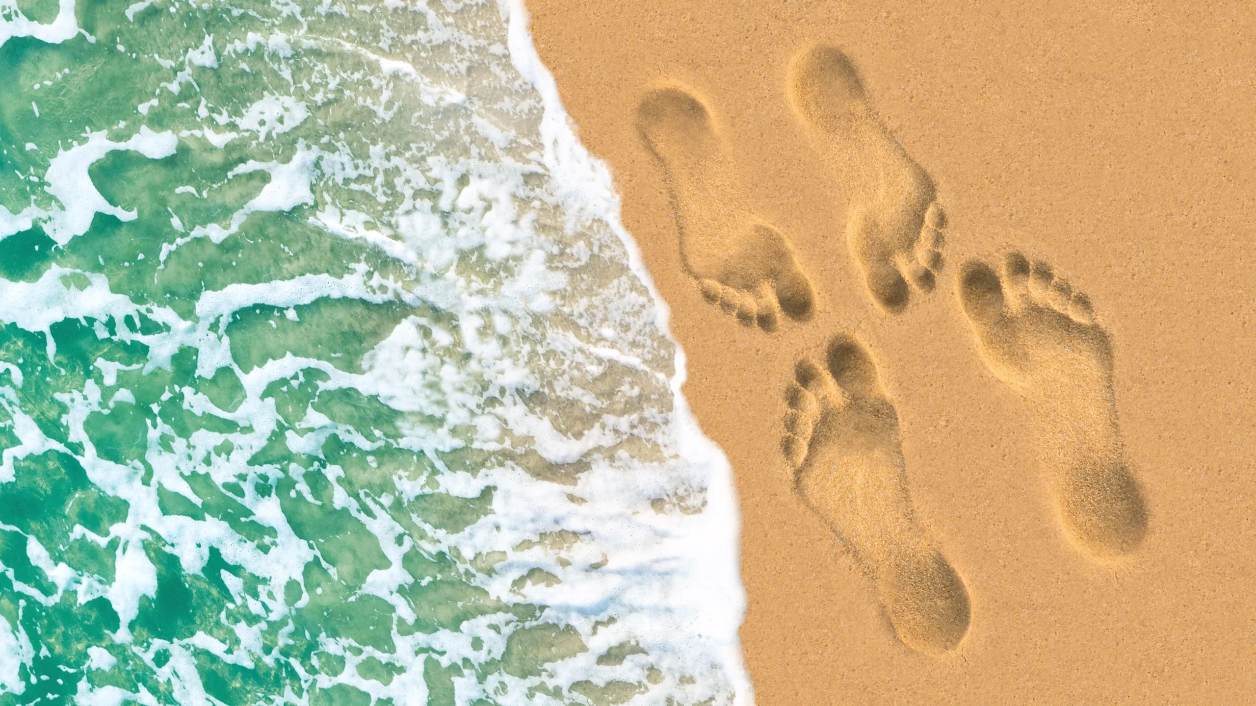 Married at First Sight: Honeymoon Island