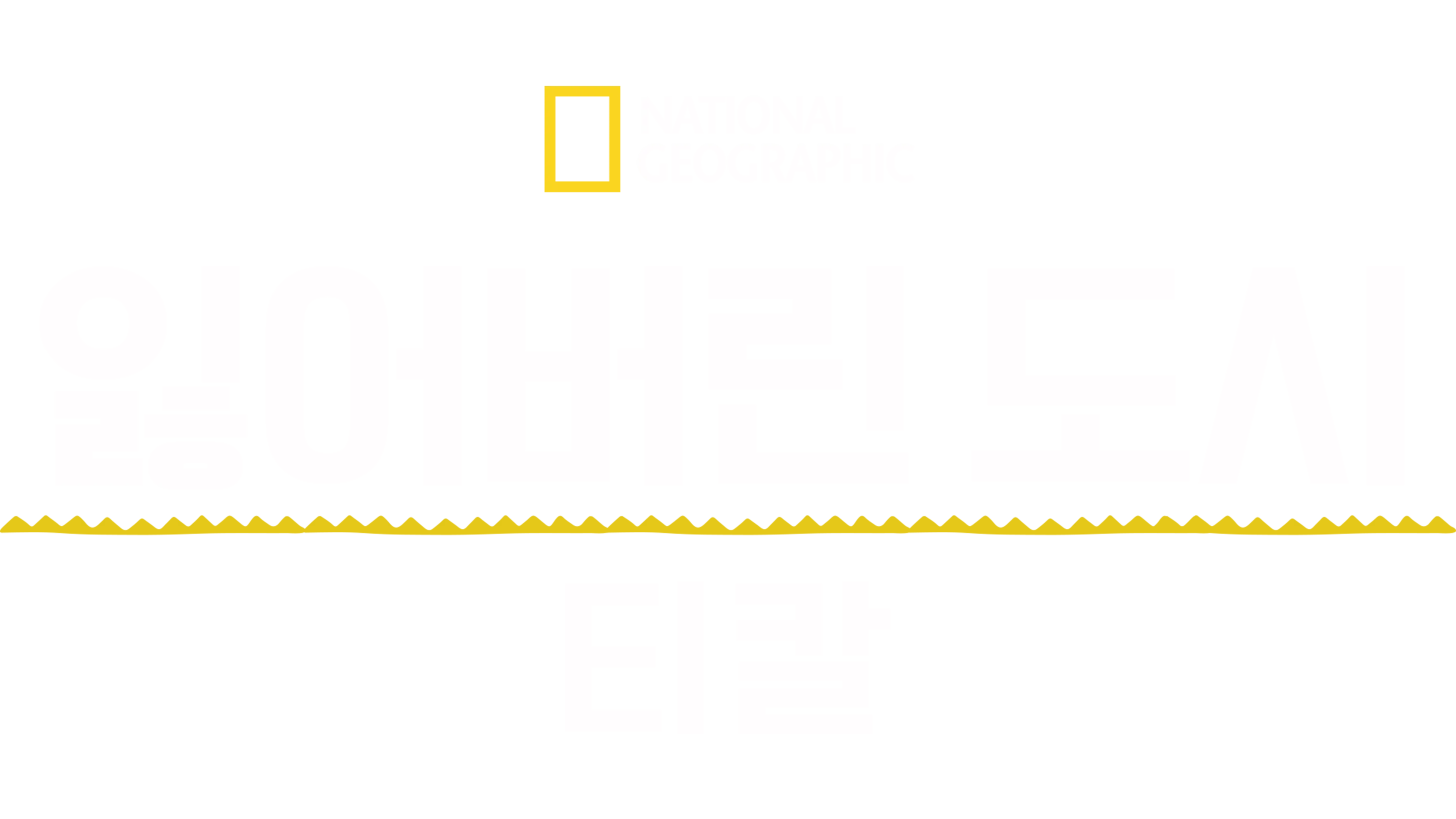 잃어버린 도시: 티칼