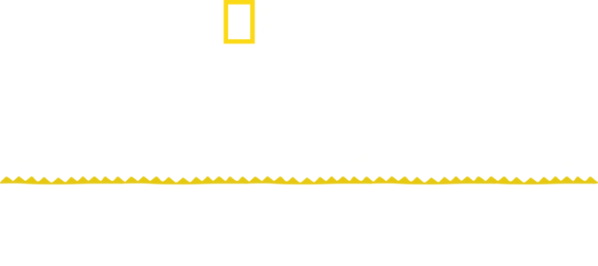잃어버린 도시: 티칼