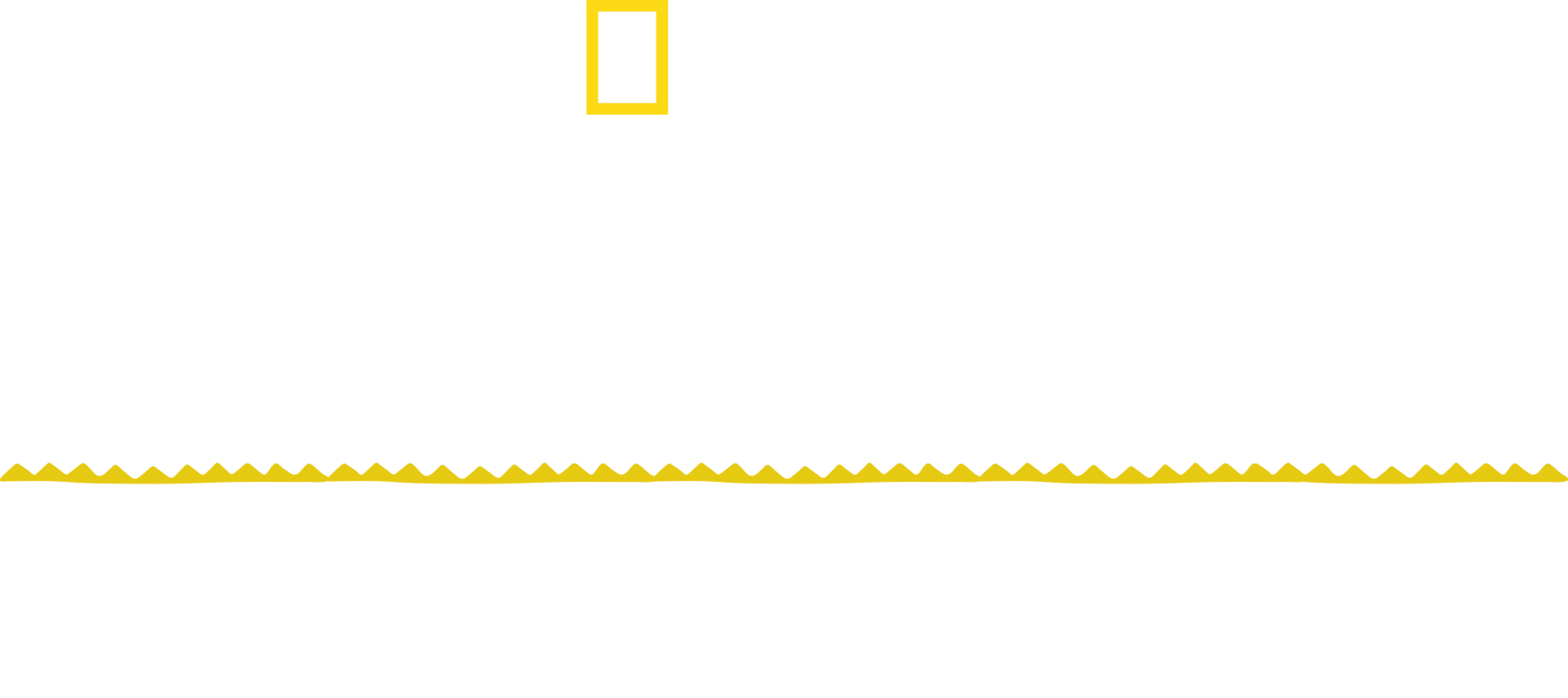 잃어버린 도시: 티칼