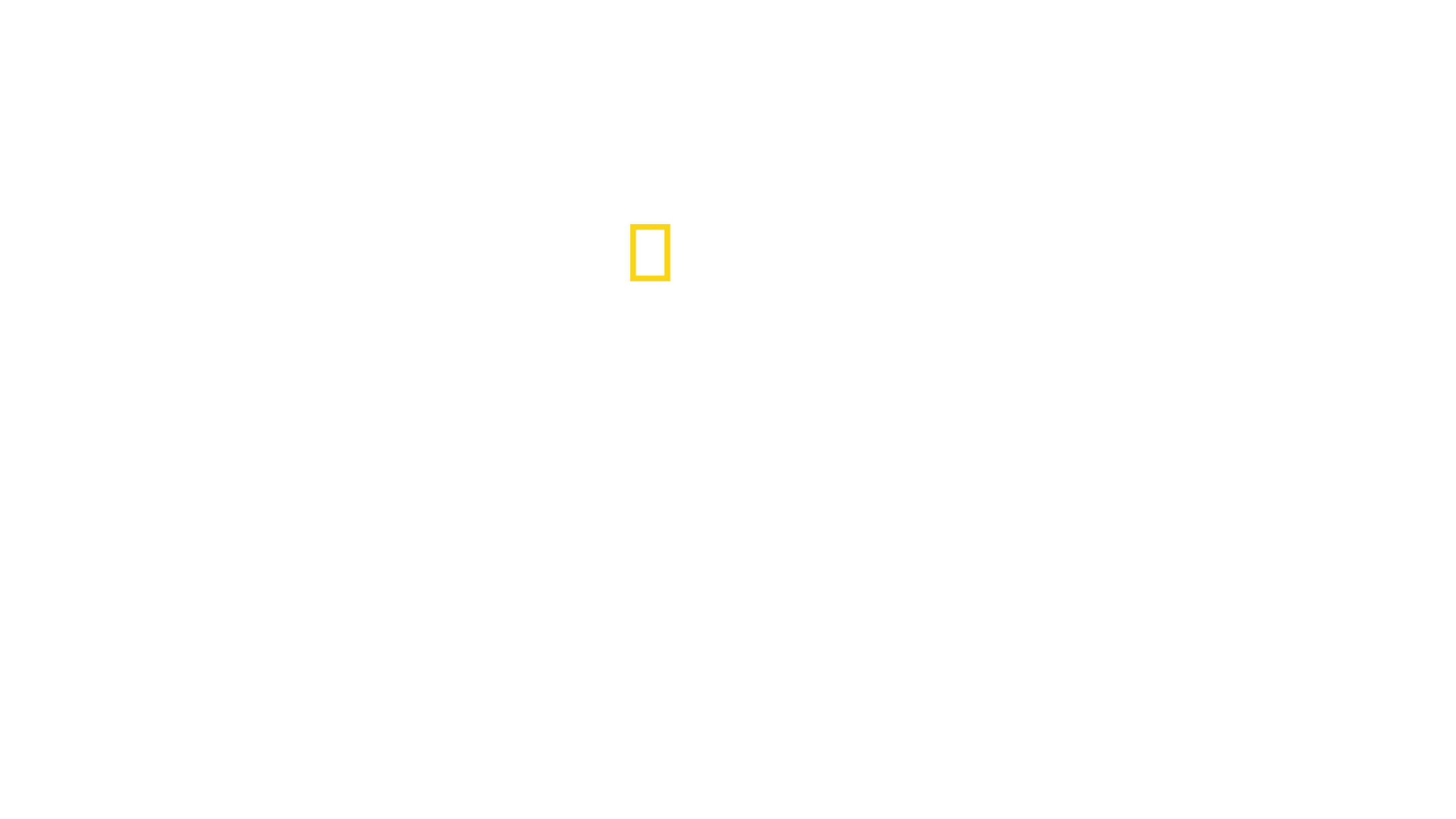 Pohotovost pro exotická zvířata