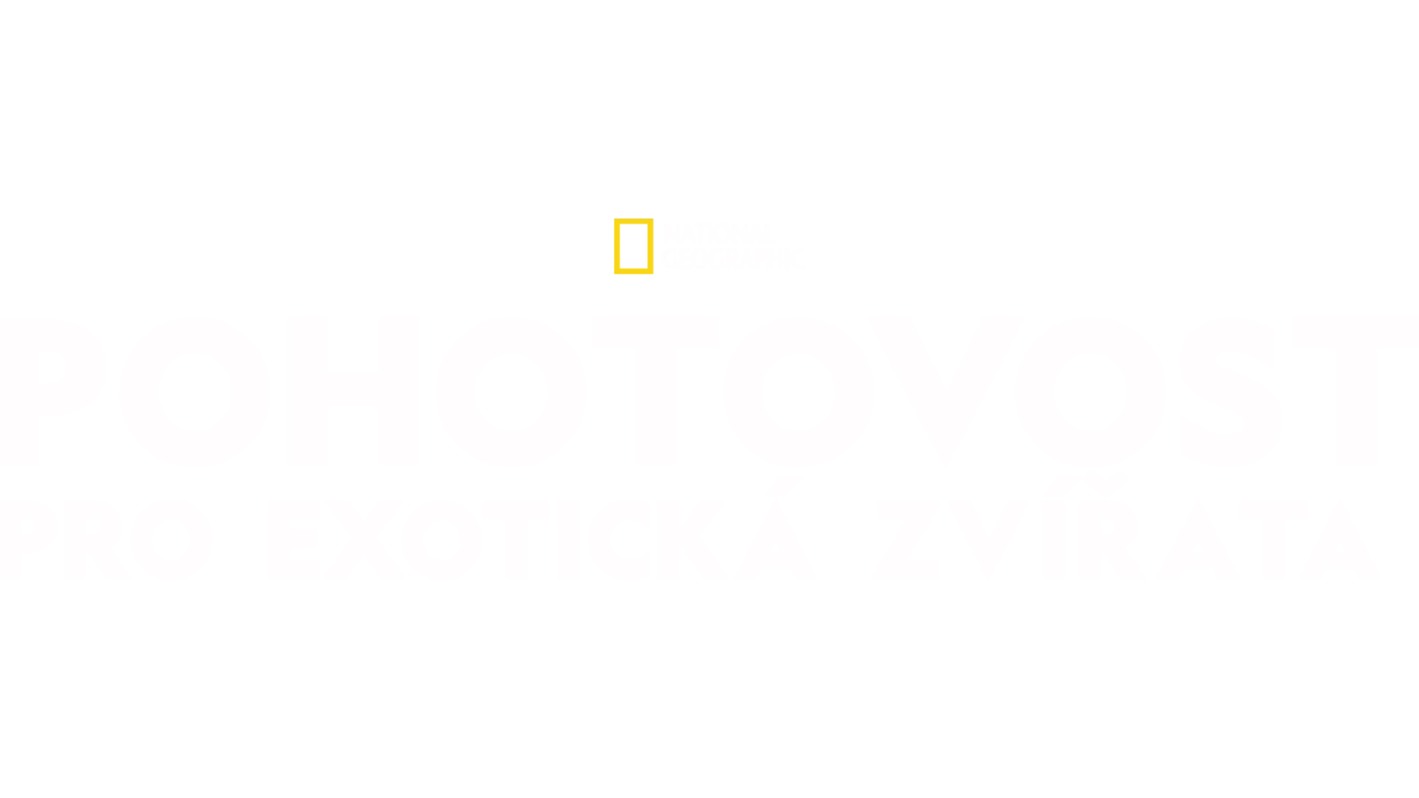 Pohotovost pro exotická zvířata