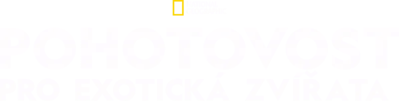 Pohotovost pro exotická zvířata