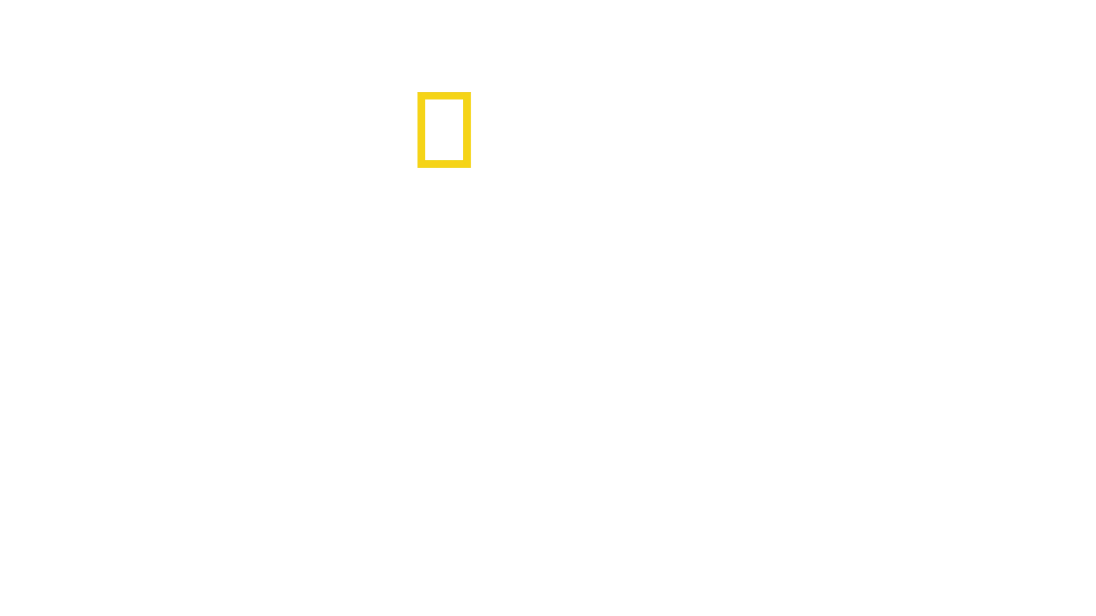 Droguri SRL: Prin ochii traficanților