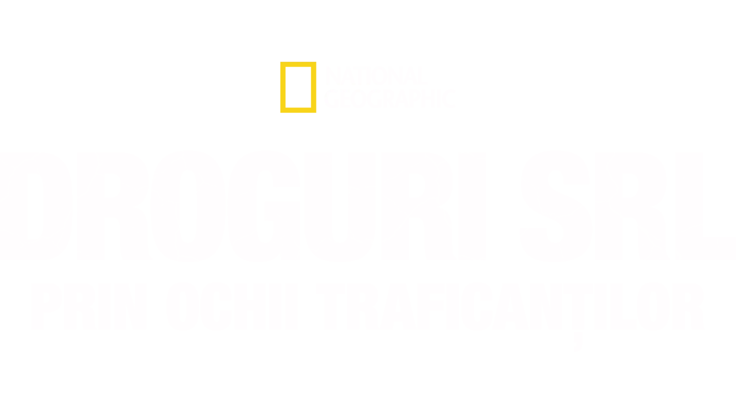 Droguri SRL: Prin ochii traficanților