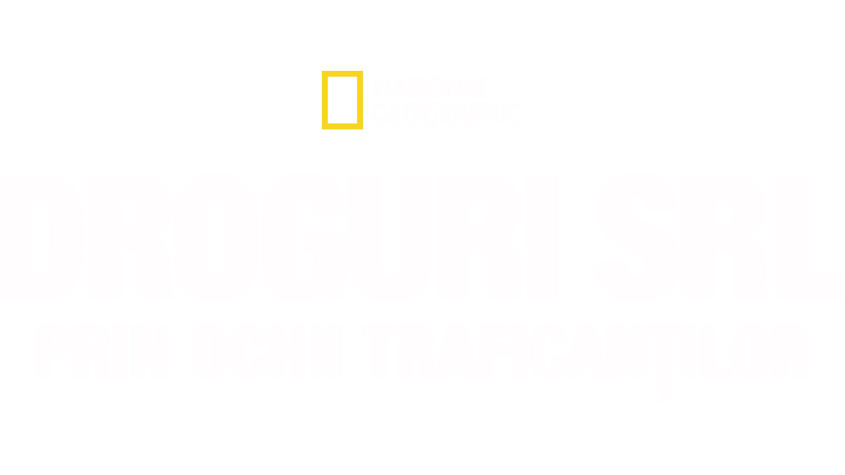 Droguri SRL: Prin ochii traficanților