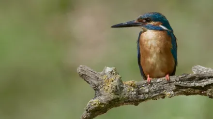 Europe's Hidden Wonders