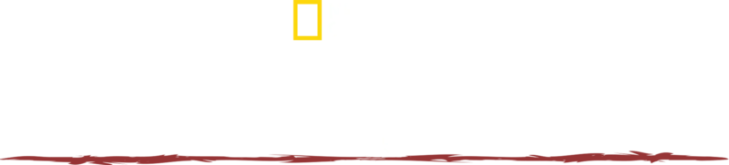 Supraviețuitorul
