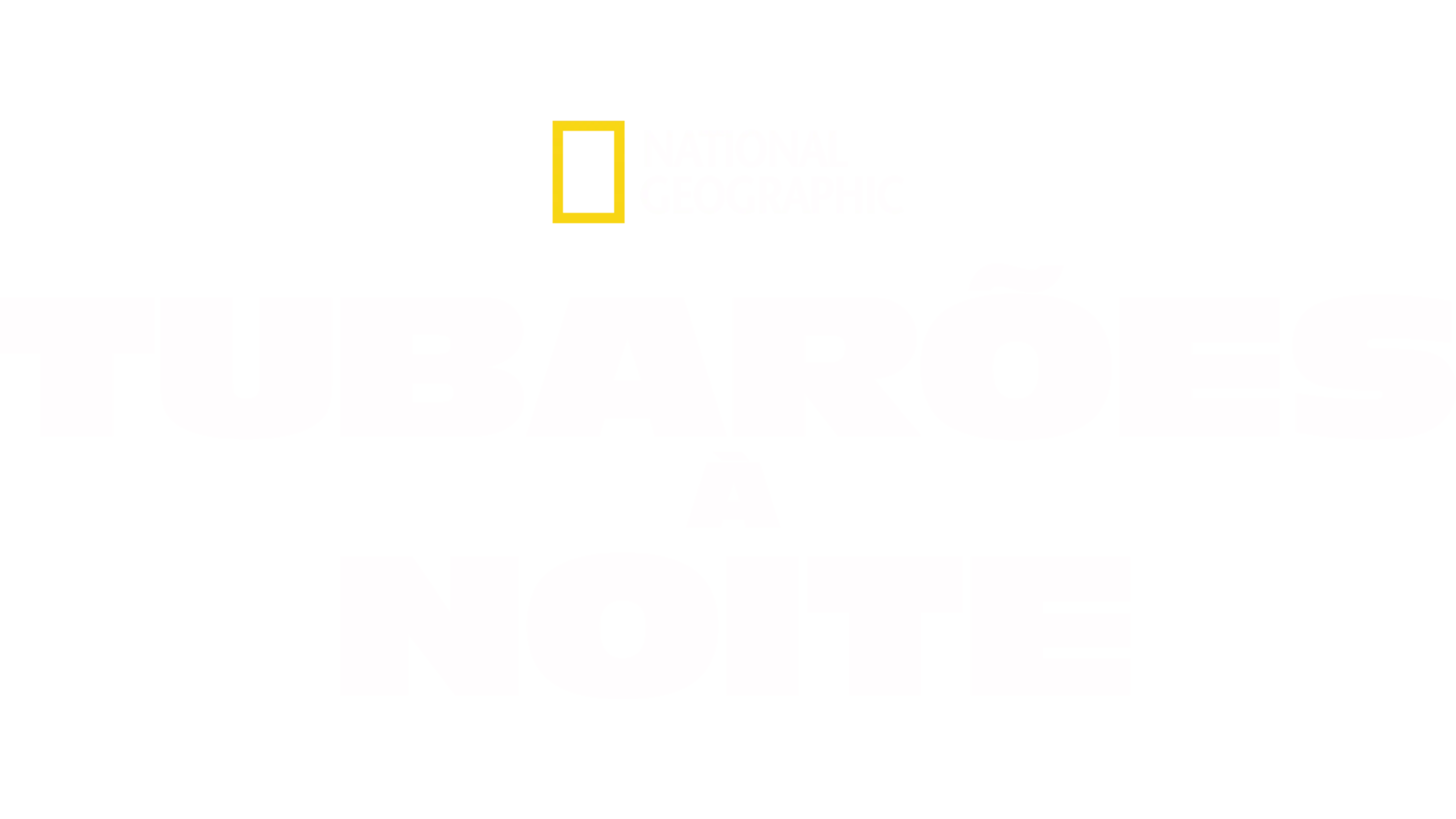 Tubarões à Noite