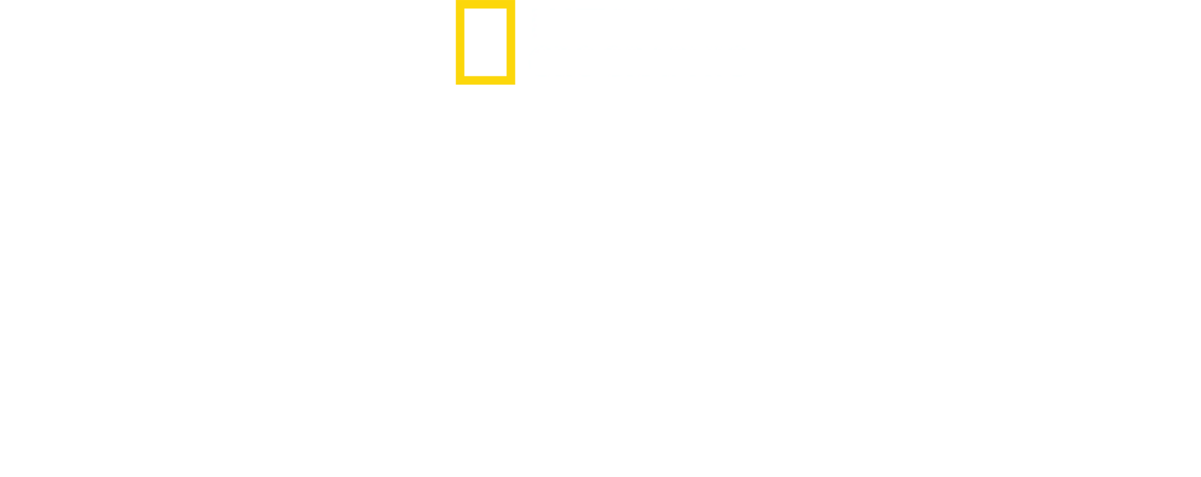 Tubarões à Noite