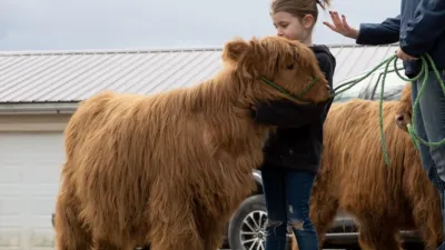 thumbnail - S24:E4 A Ruff Patch